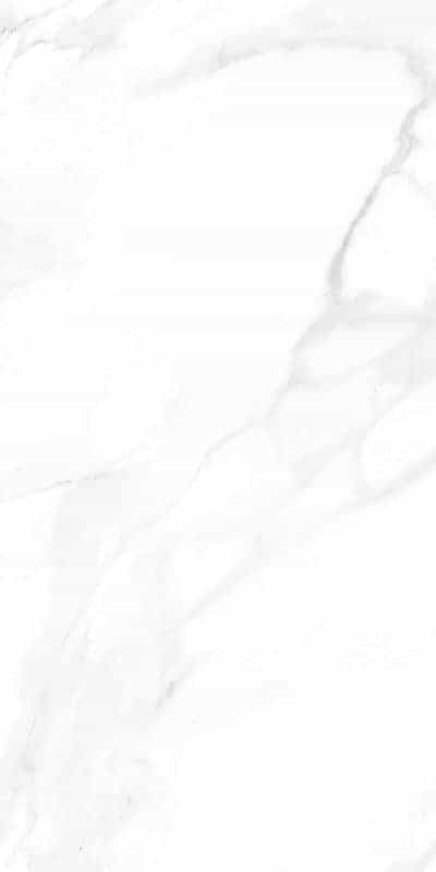 ACADEMY WHITE