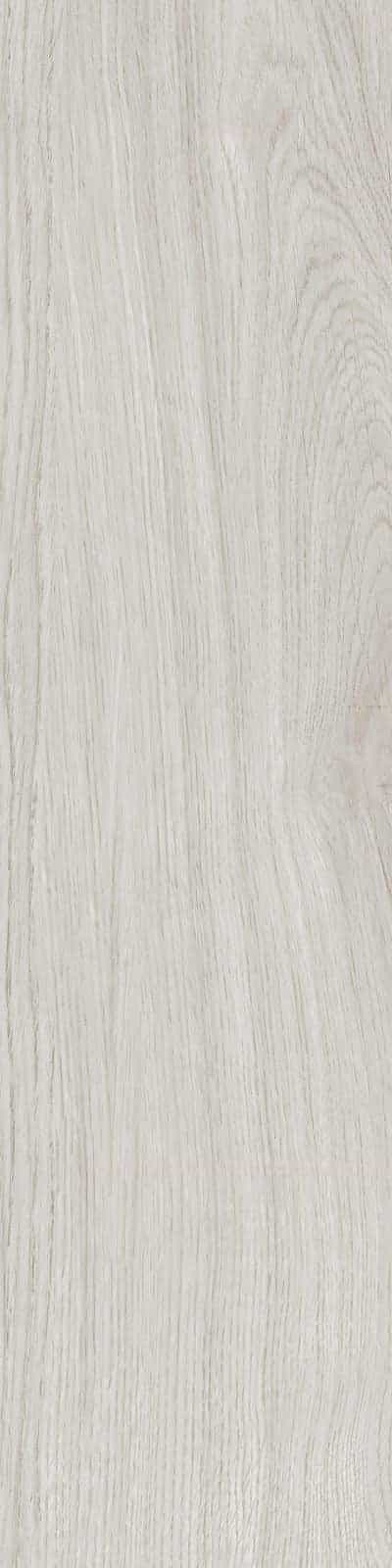 ANTHOLOGY ASH RECTIFIED