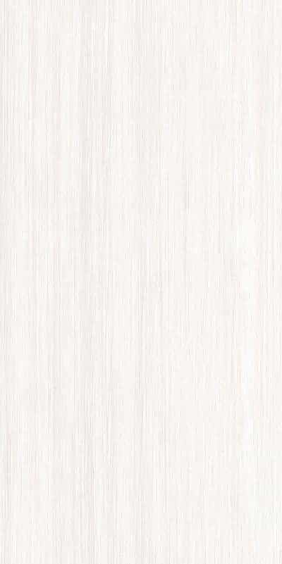 CANVAS NATURAL