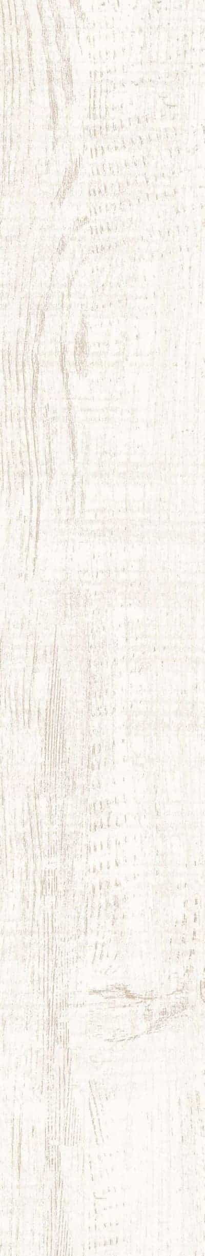 COTTONWOOD WHITE RECTIFIED