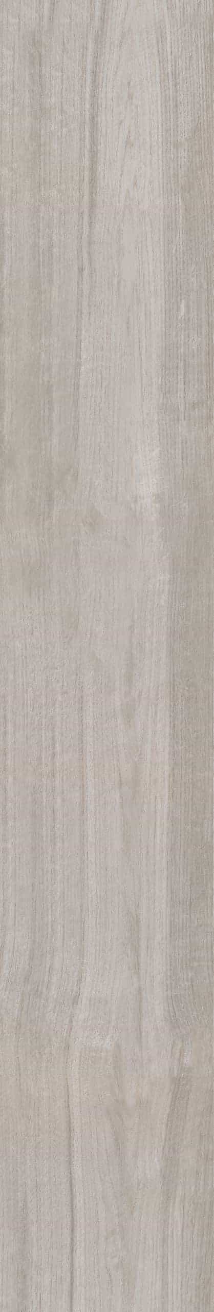 HONEYWOOD ASH RECTIFIED
