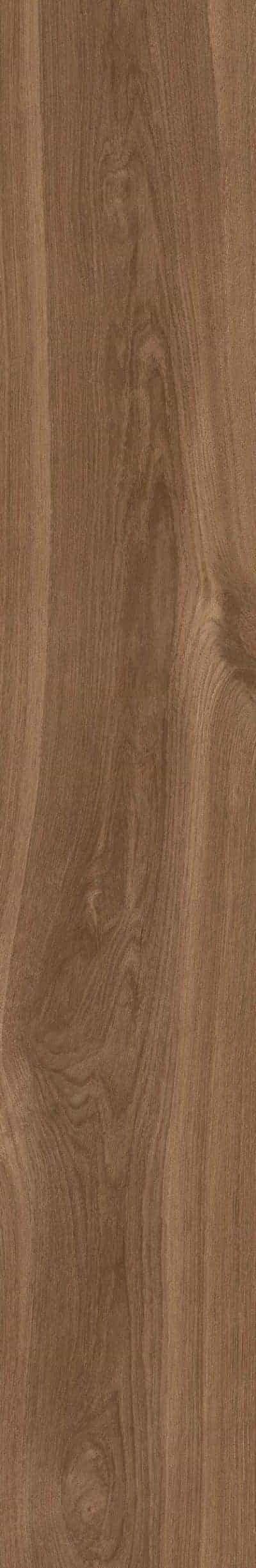 HONEYWOOD WALNUT RECTIFIED