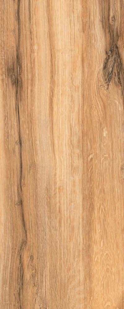 KNYSNA OAK