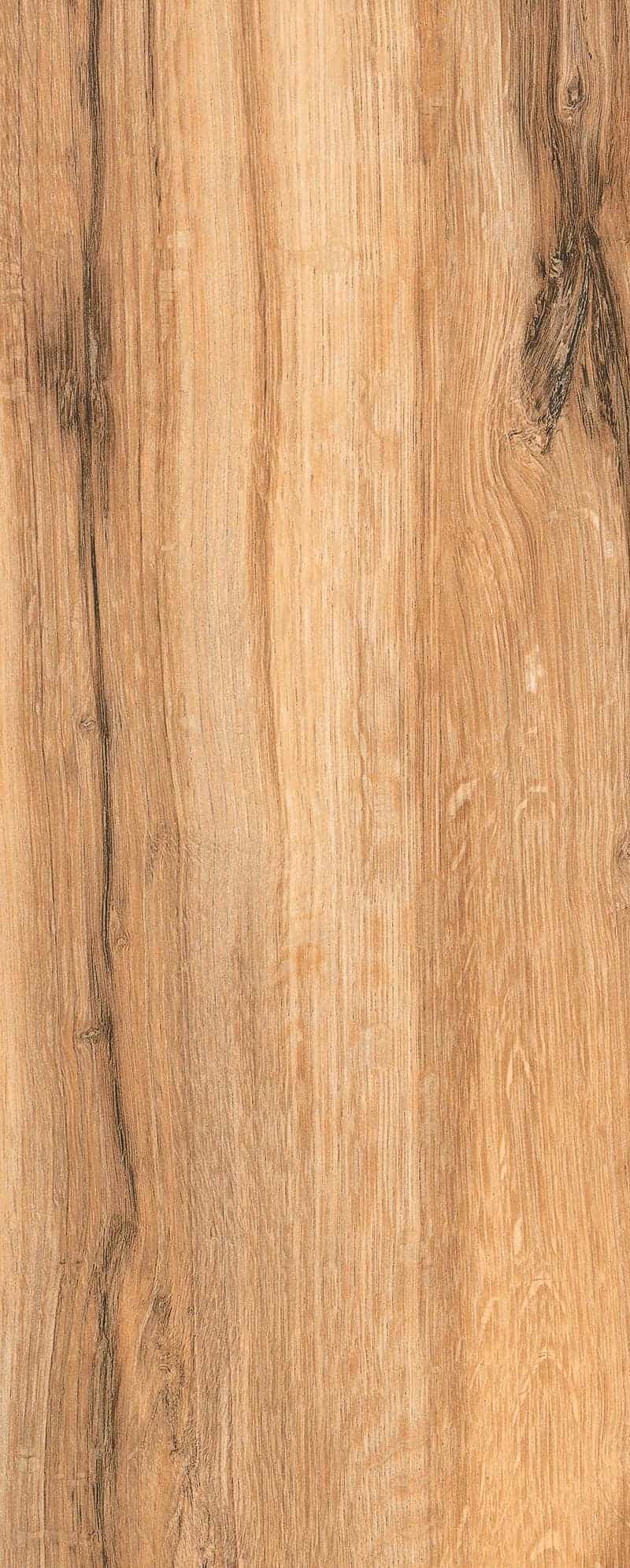 KNYSNA OAK