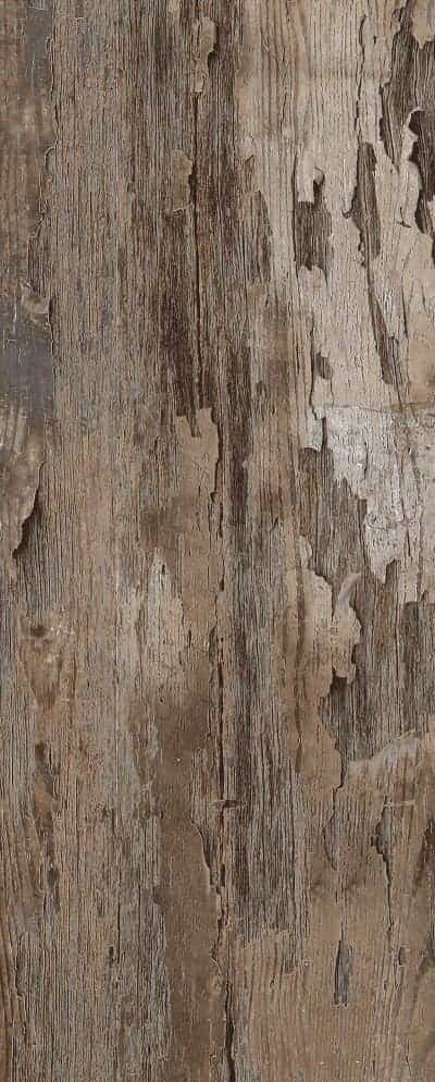 SHANTY WOOD DARK