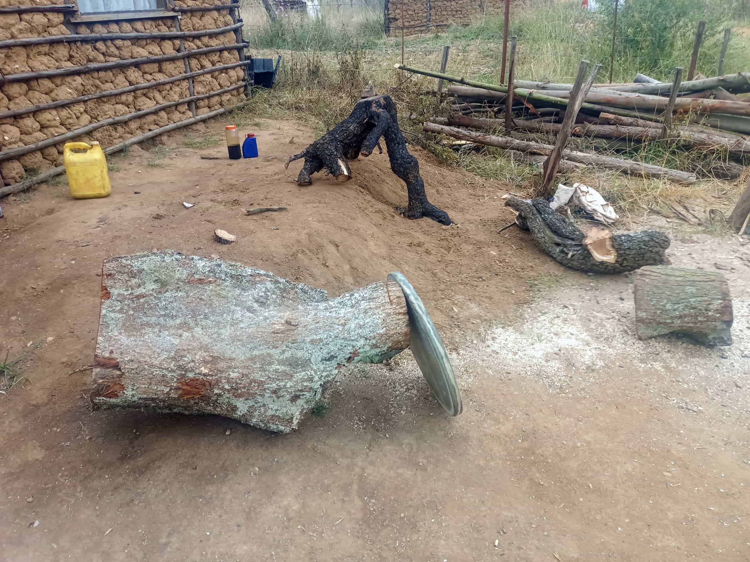 A large felled tree trunk lies on earth near a metal cover, with another log and chopped wood nearby. A yellow jerrycan, two small containers, a mud wall with a window, and wooden fencing are in the background, surrounded by dry grass.
