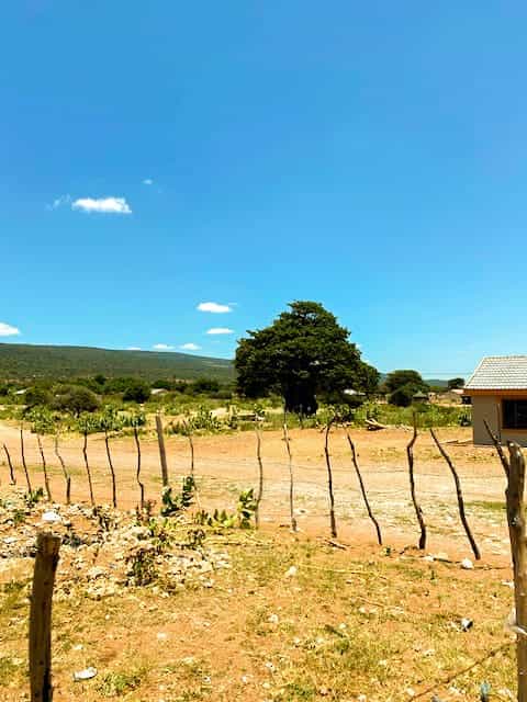 A rural landscape under a clear blue sky shows a simple wooden fence made of irregular branches, dry soil with scattered debris, green shrubs, a large tree, distant hills, and part of a house with a tiled roof on the right.