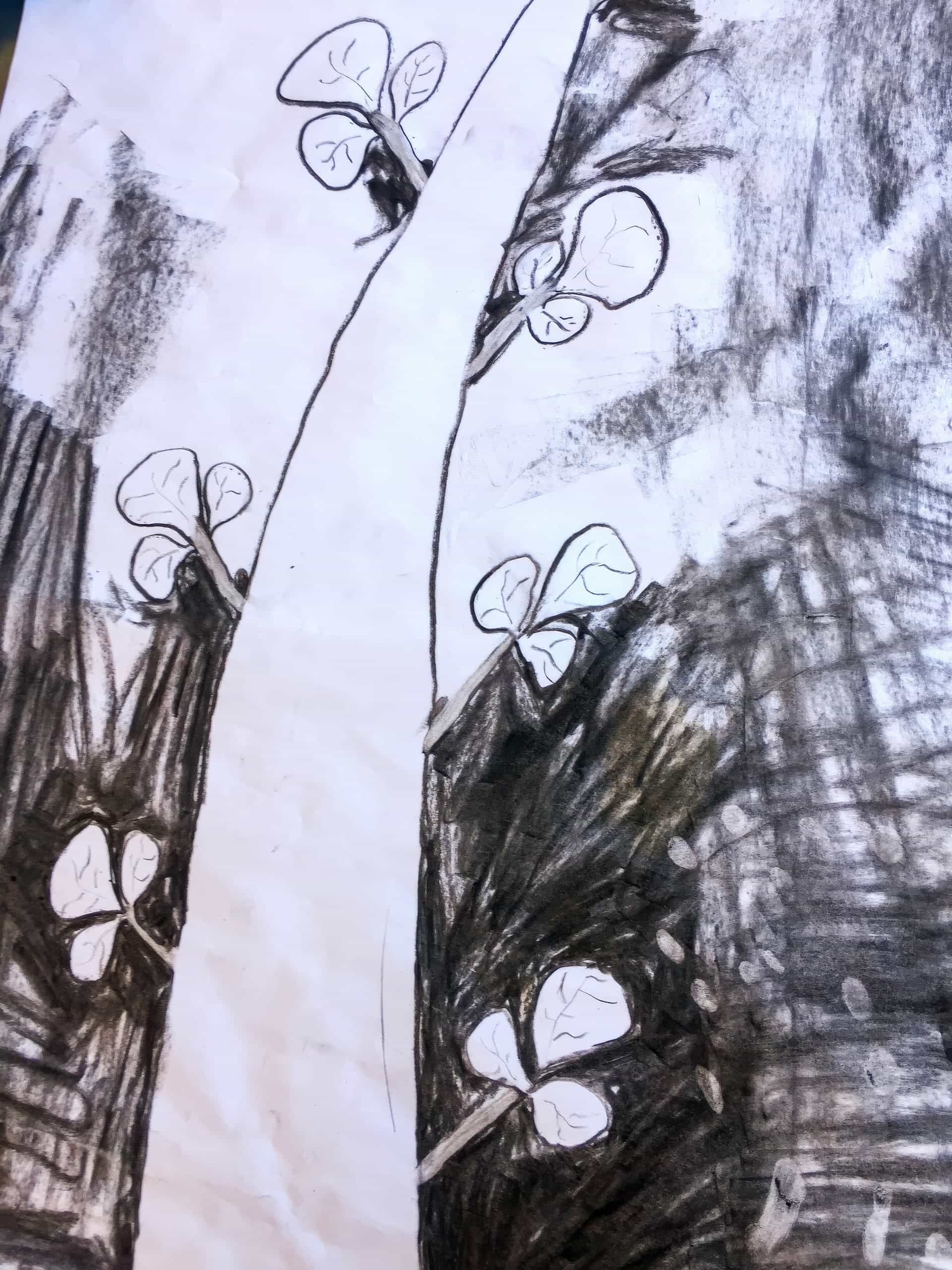 A charcoal drawing shows a wide, vertical white path dividing dark, textured ground. Four-leaf clovers outlined in black appear on both sides of the path amid rough, shaded areas, giving a whimsical, abstract nature scene in black and white.