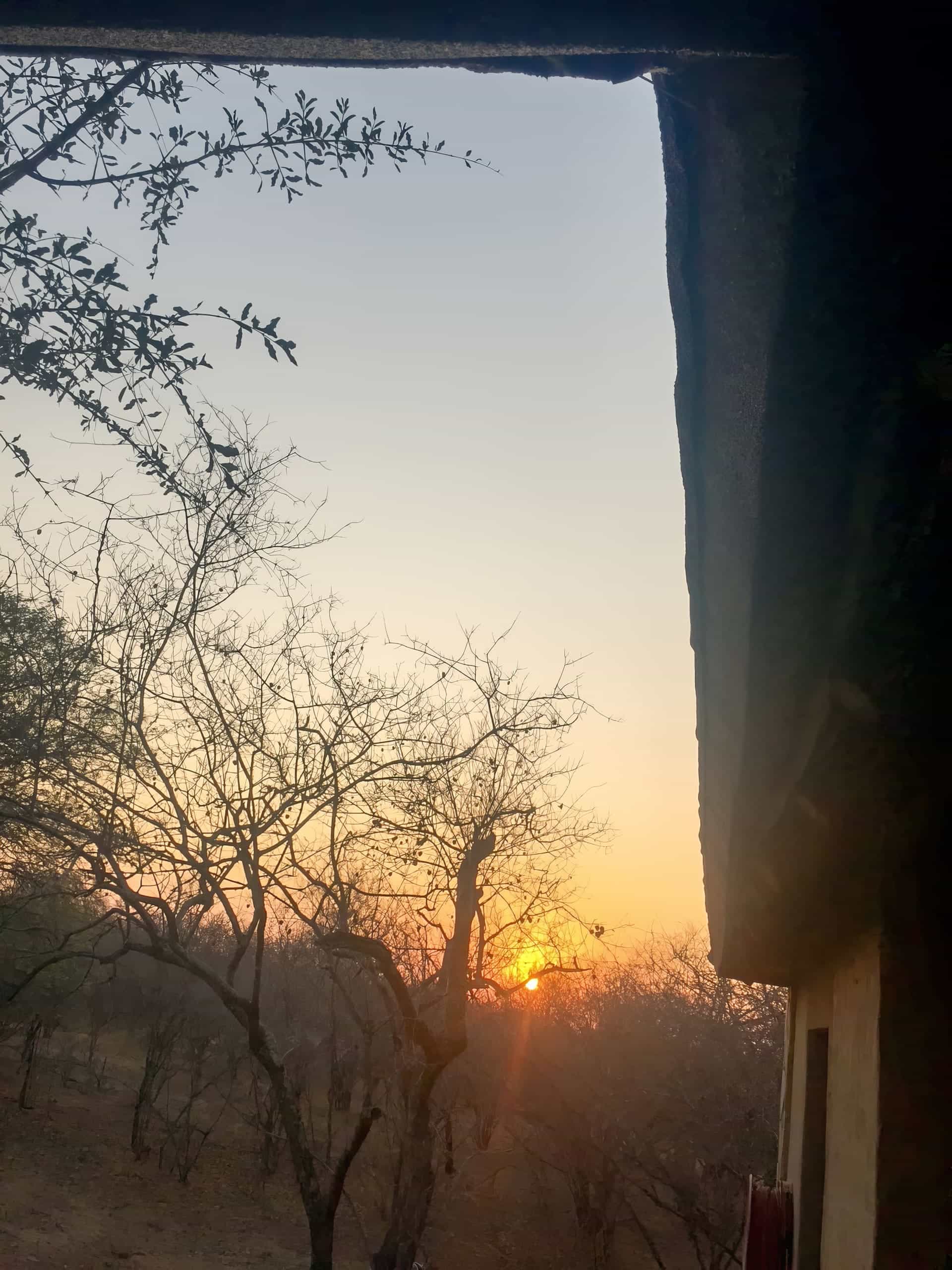 A golden sunset glows low on the horizon, partially hidden behind leafless trees. Silhouetted branches stretch across the sky under a fading blue-to-orange gradient. The edge of a building appears on the right side of the image.